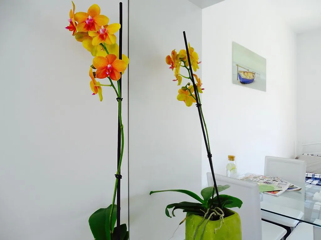 Harmony Studios Larnaca Appartement